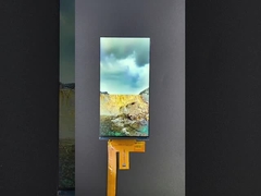 6 inç 1080*2160 çözünürlüklü lcd tft modülü MIPI arayüzü sürüş IC HX8399C