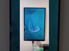 10.1 Inch Bar Type TFT Display 1200*1920 Çözüm MIPI Arayüzü 1000cd/M2