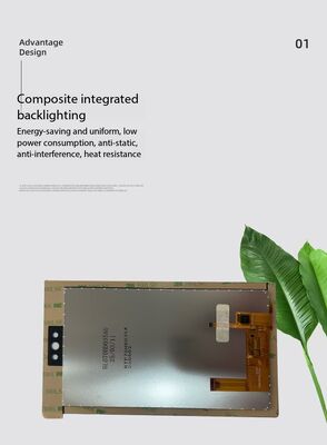 6.95inch TFT LCD Module with 600RGBx1024 Resolution and MIPI Interface