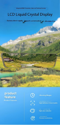 9.3 inch IPS TFT LCD Module with 320RGBx1280 Resolution and MIPI Interface