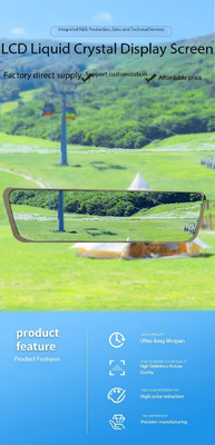 9.66 inch IPS TFT LCD Module with 480RGBx1920 Resolution and MIPI Interface