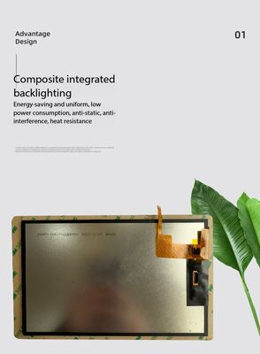 8.0 Inch with TP IPS TFT Display 800X(RGB)*1280 Resolution MIPI Interface Driver IC JD9365DA 220nit  21LEDS ALL View Instrument detection