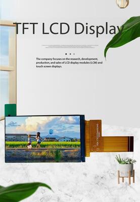 2.19 İnç IPS TFT Renkli Ekran, 480*800 Çözünürlük ve MIPI Arayüzü